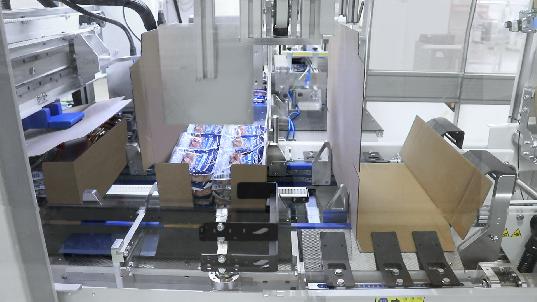 WPS 350CS